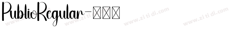 PublioRegular字体转换