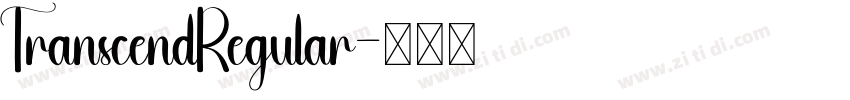 TranscendRegular字体转换