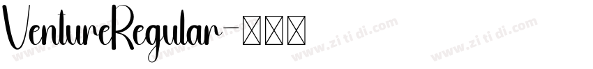 VentureRegular字体转换