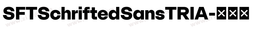 SFTSchriftedSansTRIA字体转换