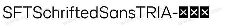 SFTSchriftedSansTRIA字体转换