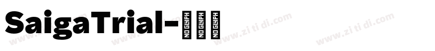 SaigaTrial字体转换 SaigaTrial字体转换