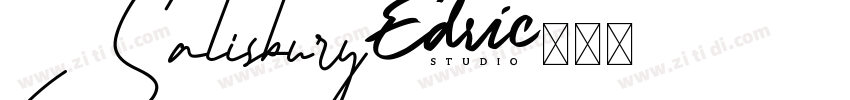 Salisbury字体转换