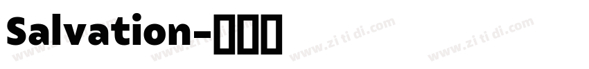 Salvation字体转换