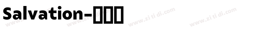Salvation字体转换