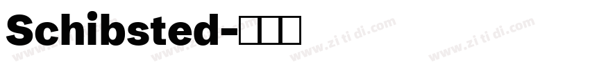 Schibsted字体转换 Schibsted字体转换
