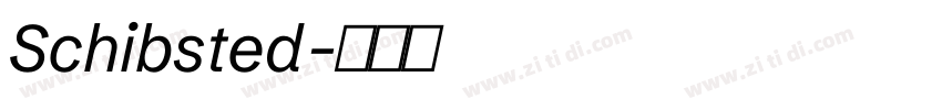 Schibsted字体转换 Schibsted字体转换