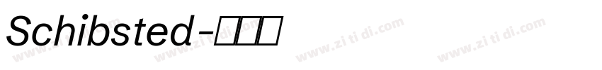 Schibsted字体转换 Schibsted字体转换