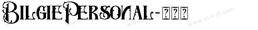BilgiePersonal字体转换