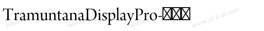 TramuntanaDisplayPro字体转换