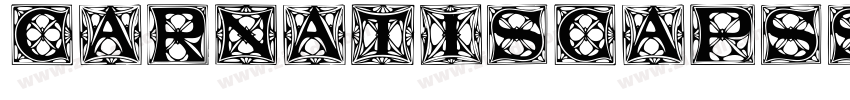 CarnatiSCapsSSK字体转换