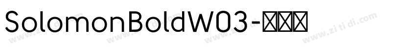 SolomonBoldW03字体转换