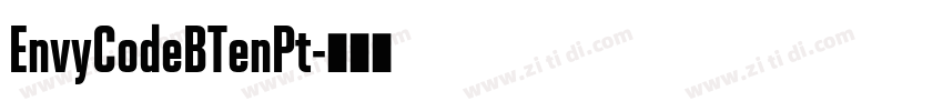 EnvyCodeBTenPt字体转换