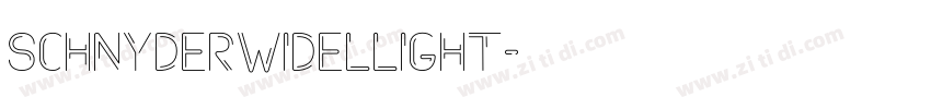 SchnyderWideLLight字体转换