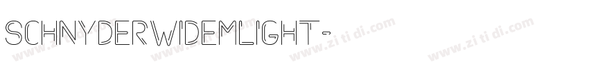 SchnyderWideMLight字体转换
