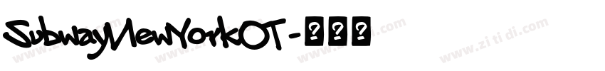 SubwayNewYorkOT字体转换
