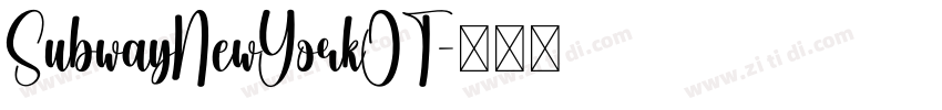 SubwayNewYorkOT字体转换