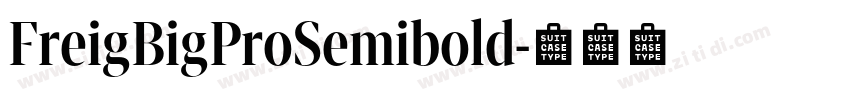 FreigBigProSemibold字体转换
