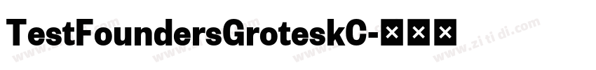 TestFoundersGroteskC字体转换