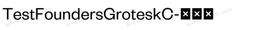 TestFoundersGroteskC字体转换