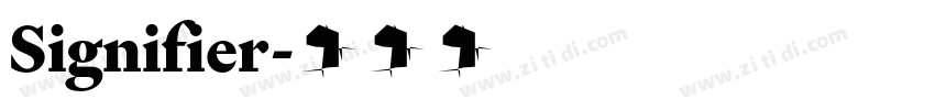 Signifier字体转换 Signifier字体转换