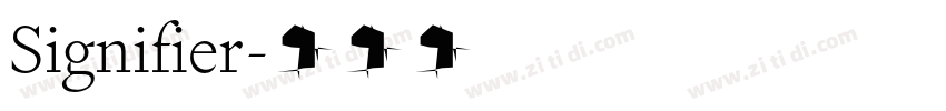 Signifier字体转换 Signifier字体转换