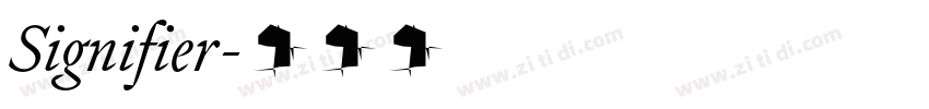 Signifier字体转换 Signifier字体转换