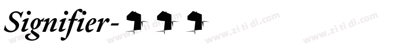 Signifier字体转换 Signifier字体转换