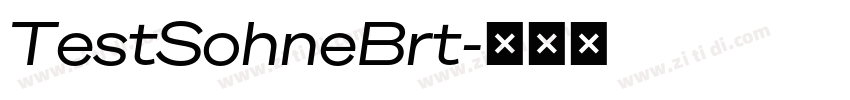 TestSohneBrt字体转换 TestSohneBrt字体转换