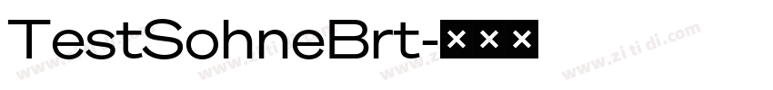 TestSohneBrt字体转换 TestSohneBrt字体转换