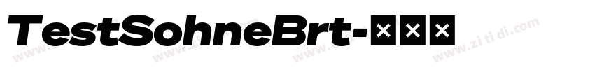 TestSohneBrt字体转换 TestSohneBrt字体转换