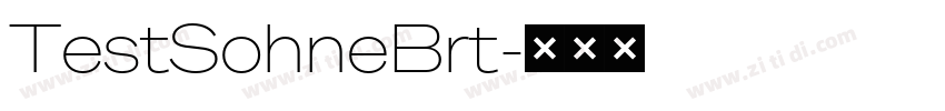 TestSohneBrt字体转换 TestSohneBrt字体转换