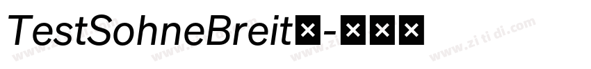 TestSohneBreit◆字体转换