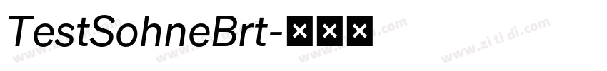 TestSohneBrt字体转换 TestSohneBrt字体转换