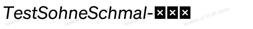 TestSohneSchmal字体转换