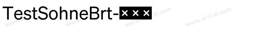 TestSohneBrt字体转换 TestSohneBrt字体转换