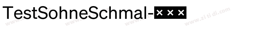 TestSohneSchmal字体转换