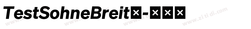 TestSohneBreit◆字体转换