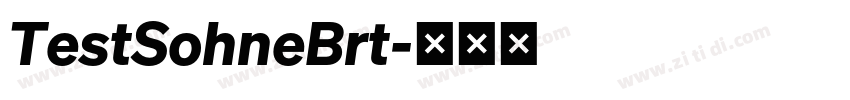 TestSohneBrt字体转换 TestSohneBrt字体转换
