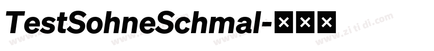 TestSohneSchmal字体转换