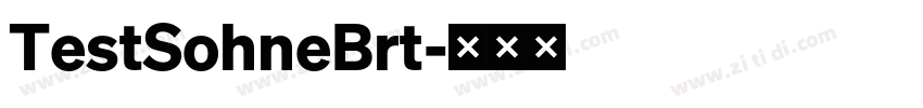 TestSohneBrt字体转换 TestSohneBrt字体转换