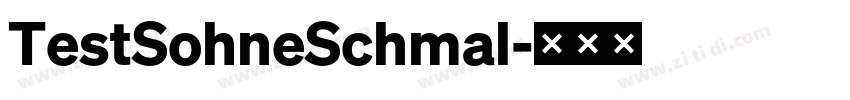 TestSohneSchmal字体转换
