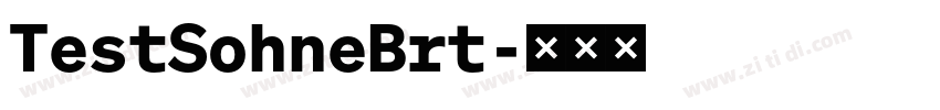 TestSohneBrt字体转换 TestSohneBrt字体转换