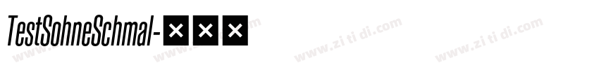 TestSohneSchmal字体转换