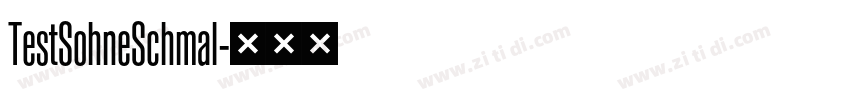 TestSohneSchmal字体转换