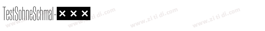 TestSohneSchmal字体转换