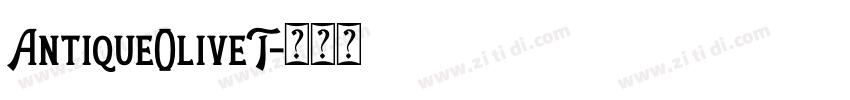 AntiqueOliveT字体转换