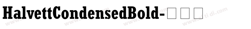 HalvettCondensedBold字体转换