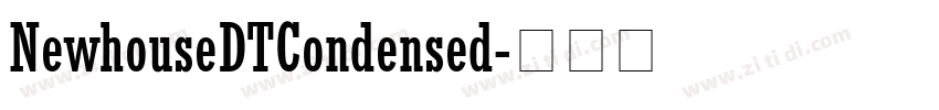 NewhouseDTCondensed字体转换