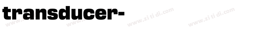 transducer字体转换